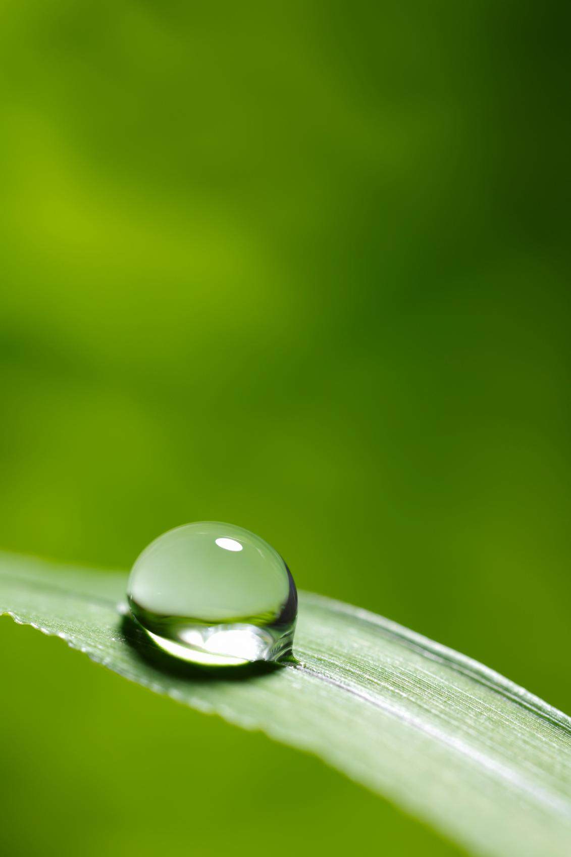 Environmental Law