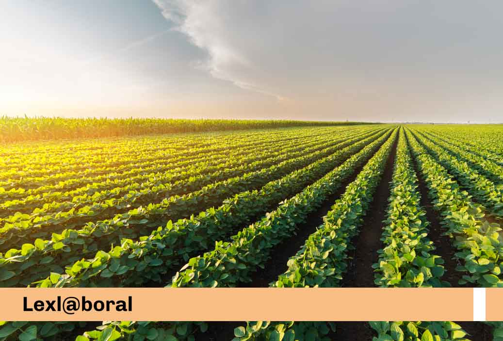 Lineamiento-para-la-fiscalización-de-riesgos-laborales-en-la-agroindustria