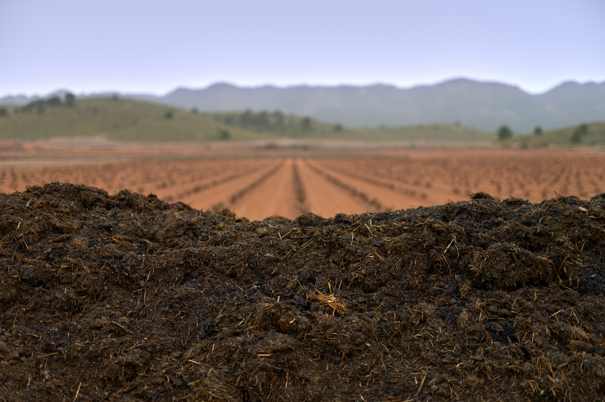 Aprueban el Reglamento de Gestión Integral de Residuos Sólidos del Sector Agrario y de Riego