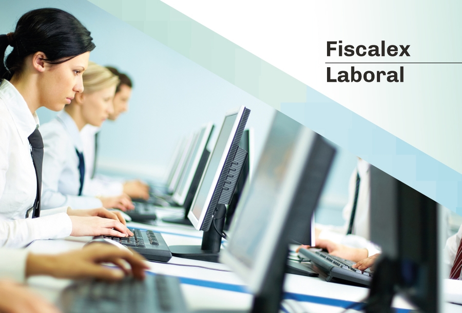 1fiscalexmini