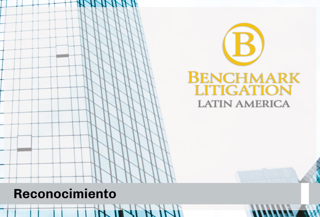 BMLITIGATIONMINI