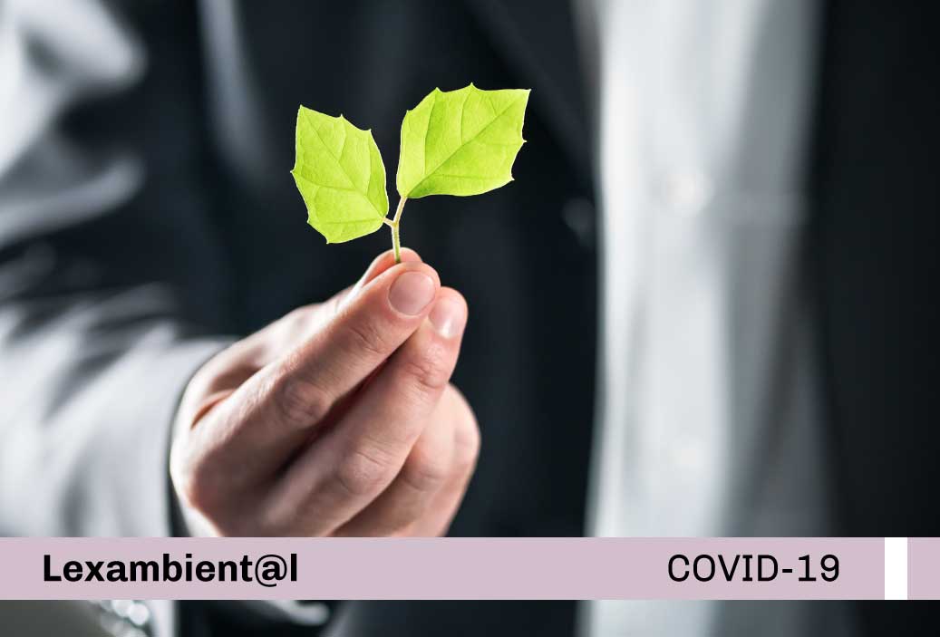 Base-miniatura-covid19-web-(1)