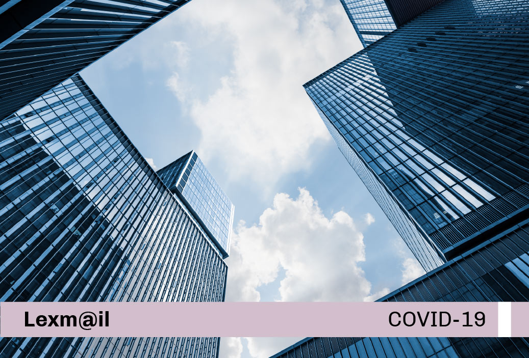Base-miniatura-covid19-web