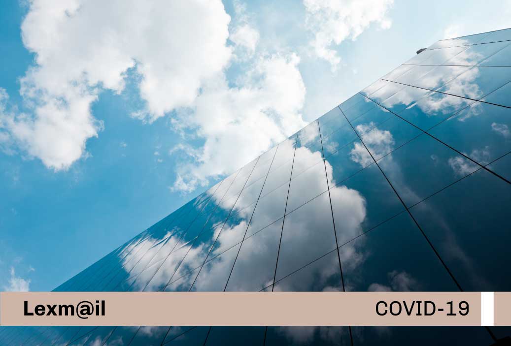 Base-miniatura-covid19-web