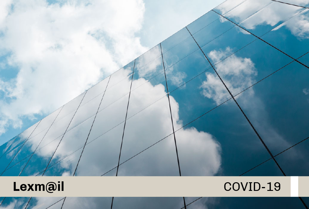 Base-miniatura-covid19-web