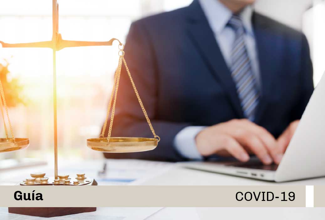 Base-miniatura-covid19-web