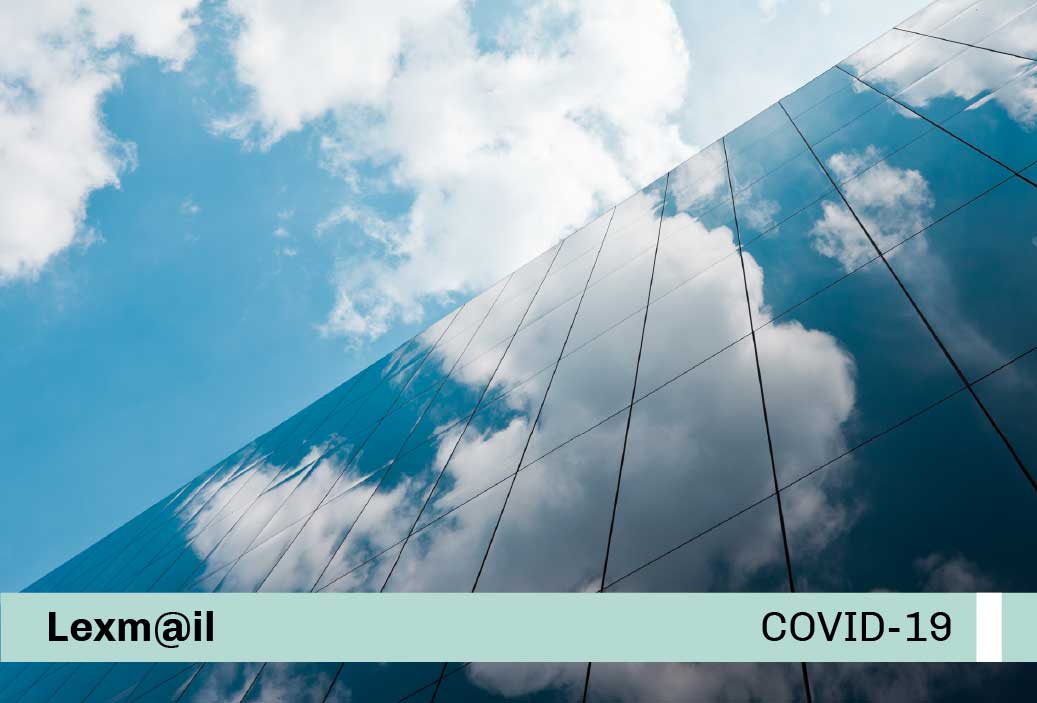 Base-miniatura-covid19-web