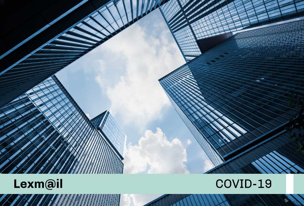 Base-miniatura-covid19-web