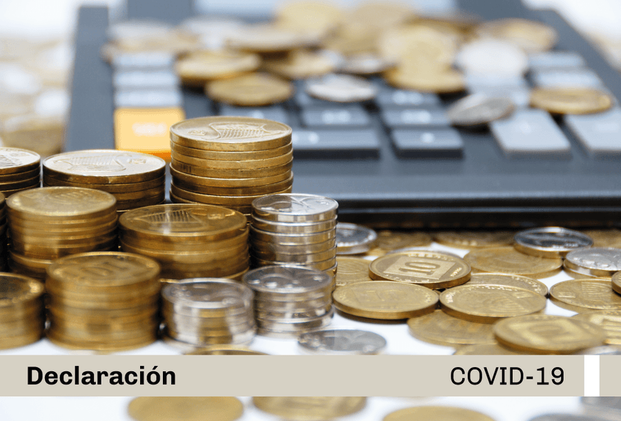Base-miniatura-web