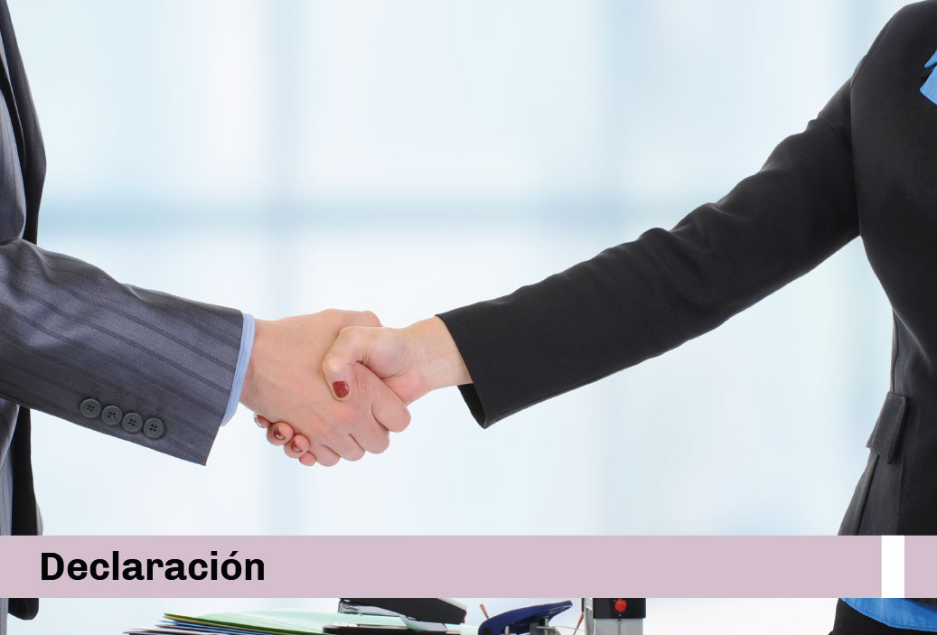 Declaración-MINIWEB