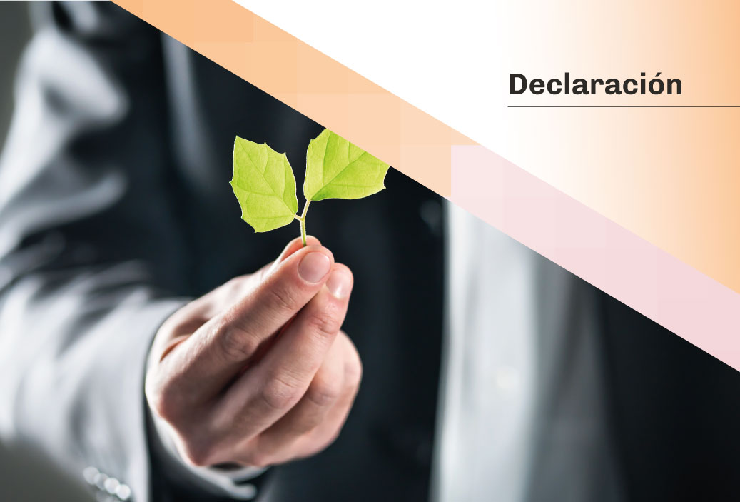 Declaración-VCM-miniatura