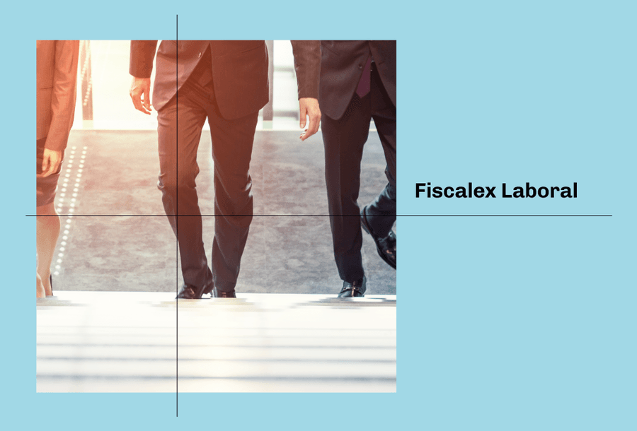 FISCALEX-3