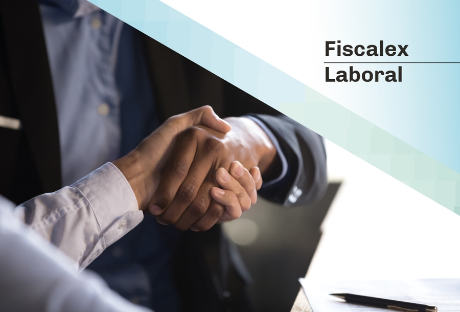 FISCALEX-LABORAL-MINIATURA