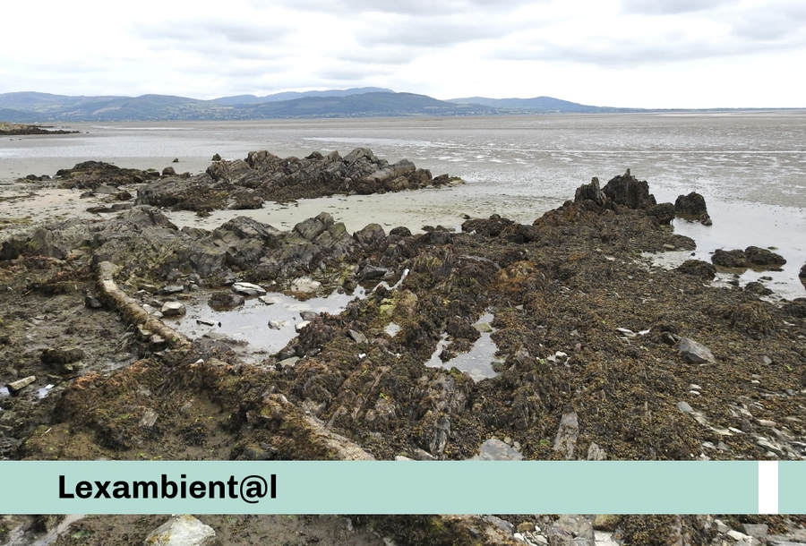Lexambiental newsleter