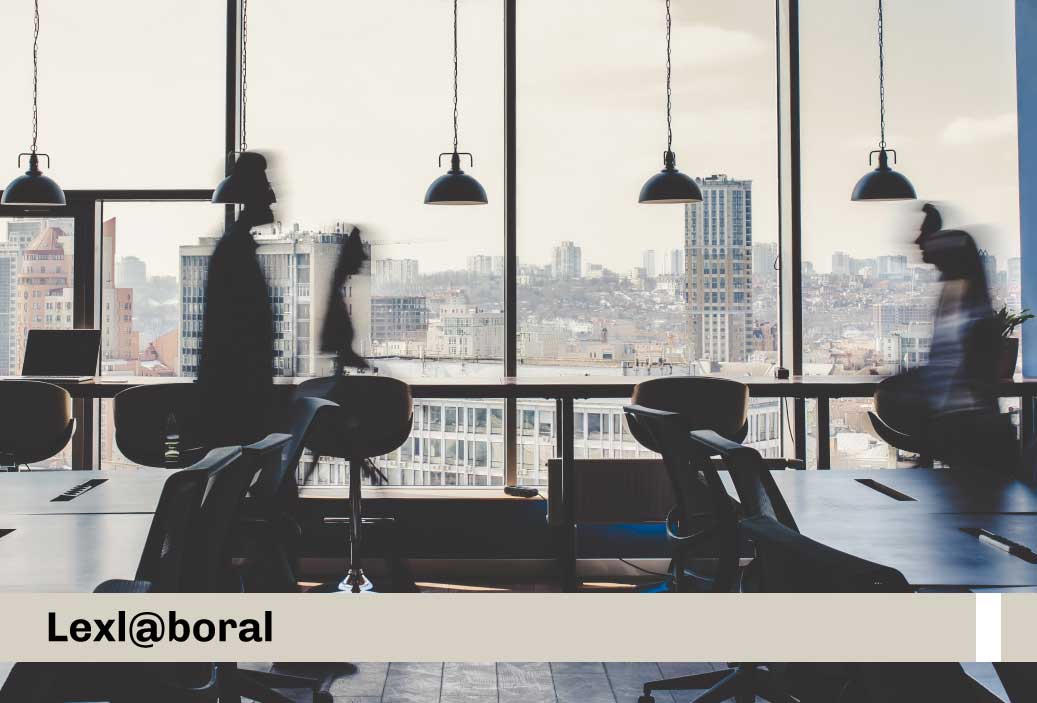 laborables sector público nacional