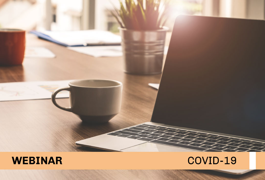 MINI-WEBINAR