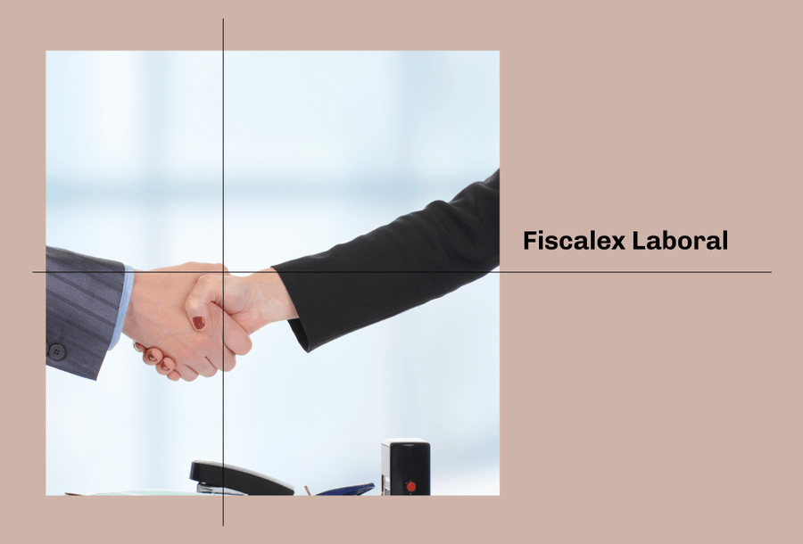 MINIATURA-FISCALEX3
