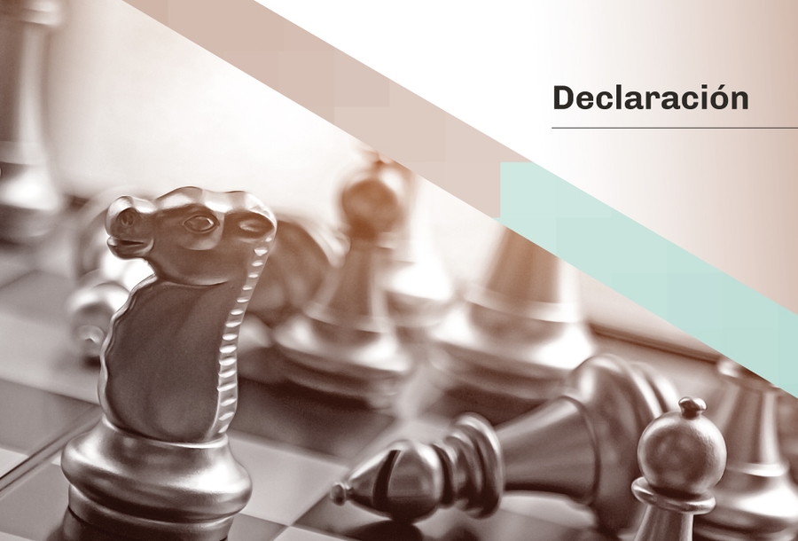 MiniaturaDeclaración2