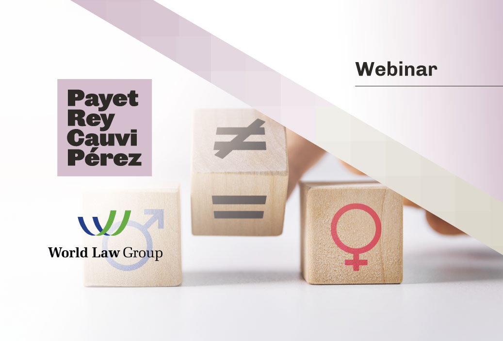 WEBINARMINIATURAVERSIÓN2