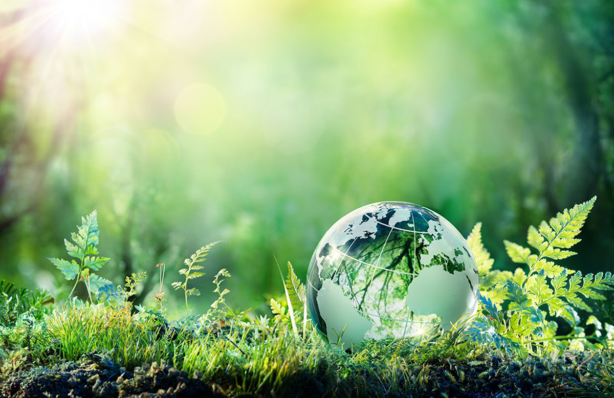 ambiental-1