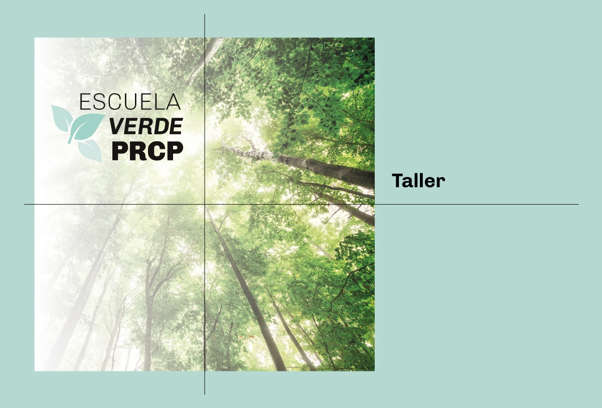 banner2-postblog-escuela-verde