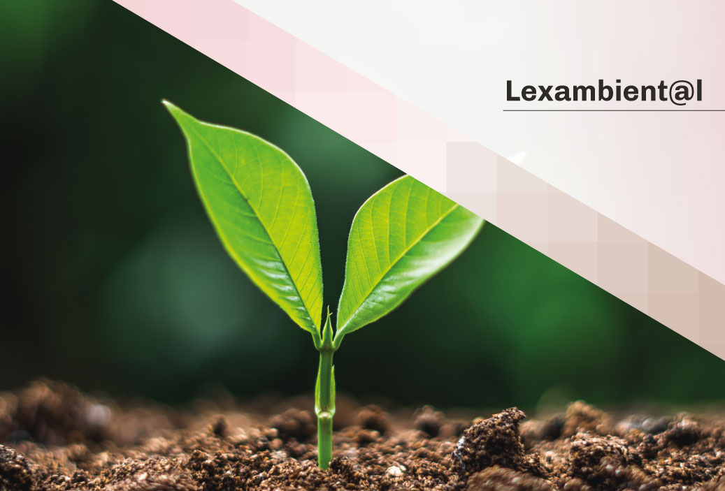 baseminiaturalexambiental