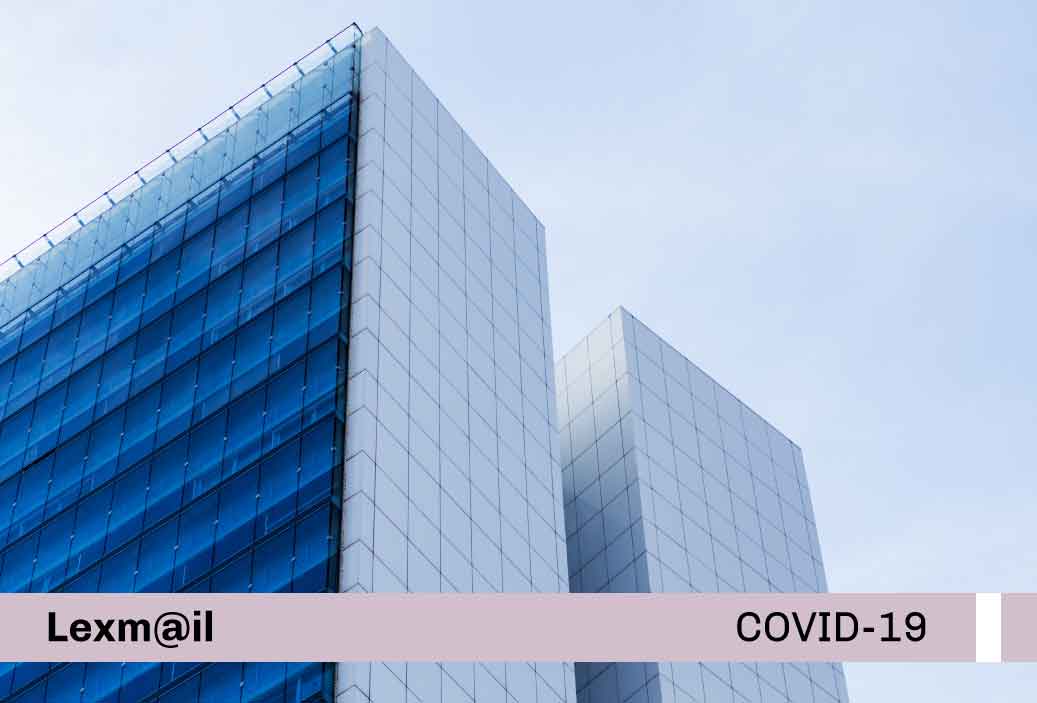 covidmorado-miniatura-