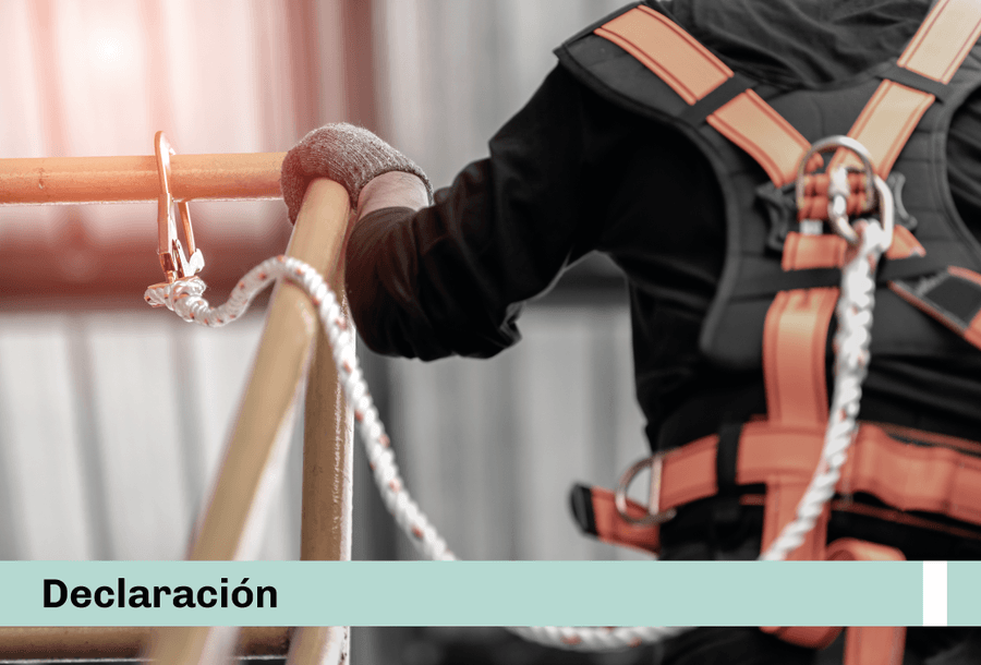 declaracion