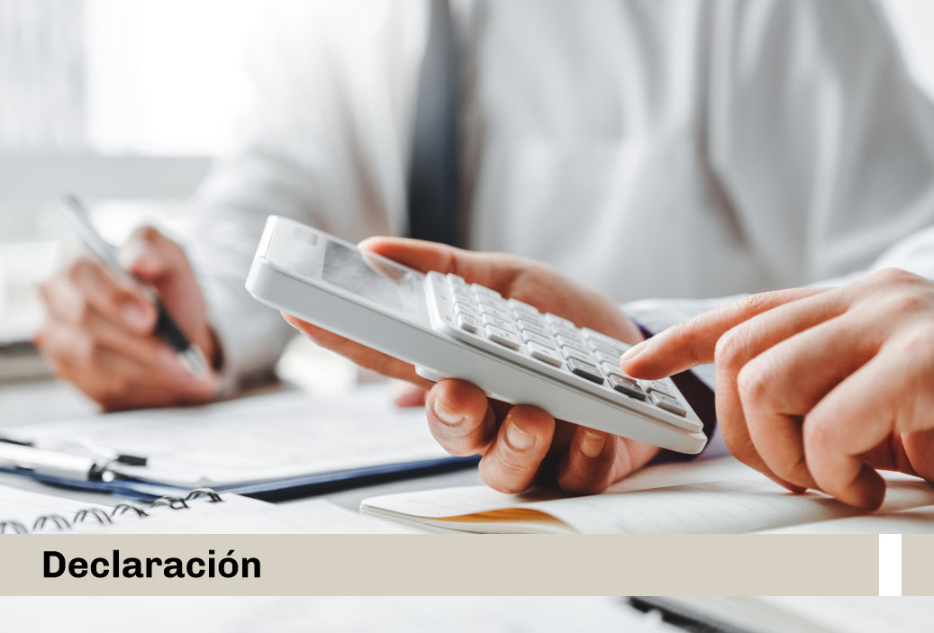 declaracion-rgv-miniatura-tributario
