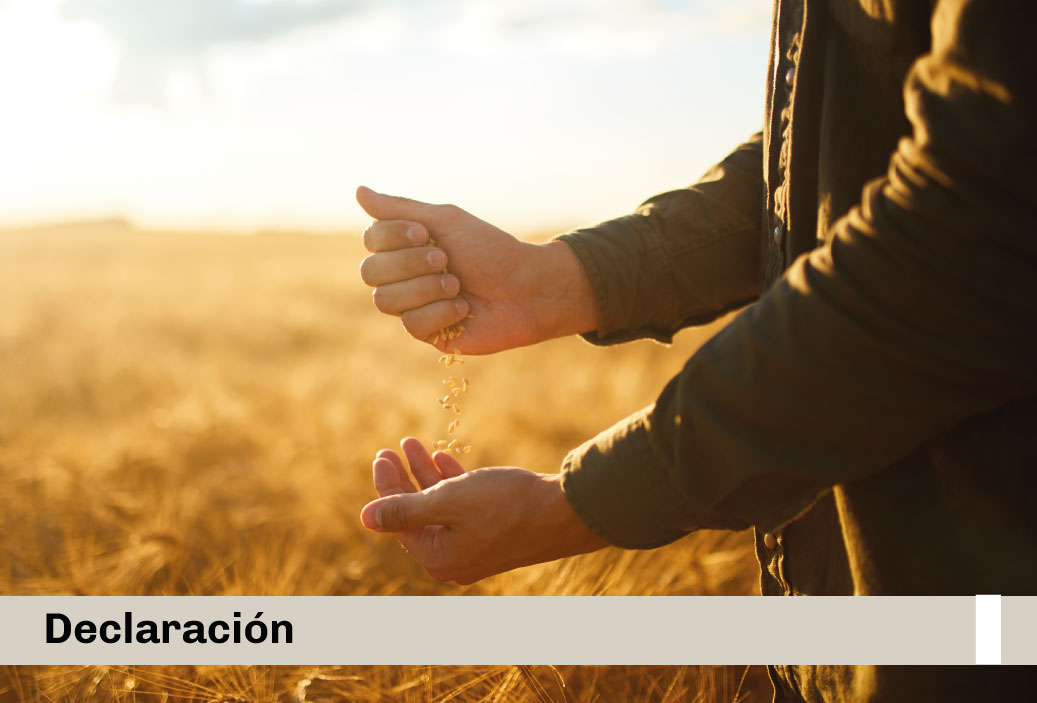 Segunda Reforma Agraria