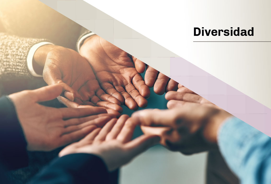 diversidad-mini-2