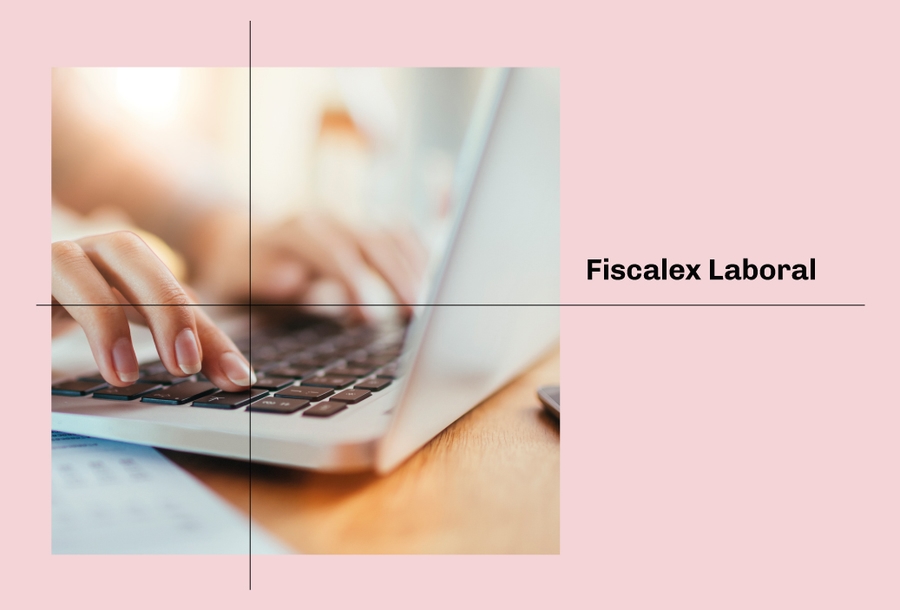 fiscalex-3