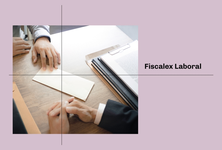 fiscalex-mini11