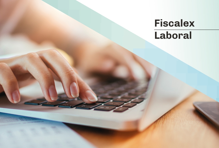 fiscalex-numero1