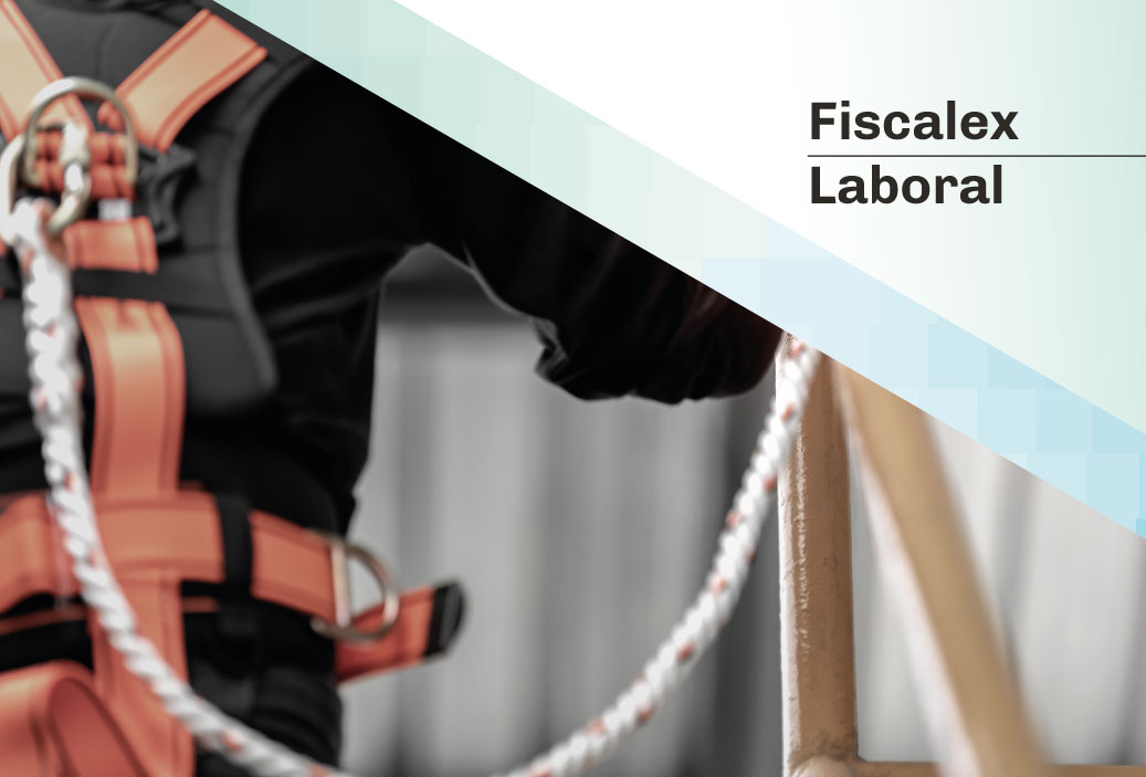 fiscalex1