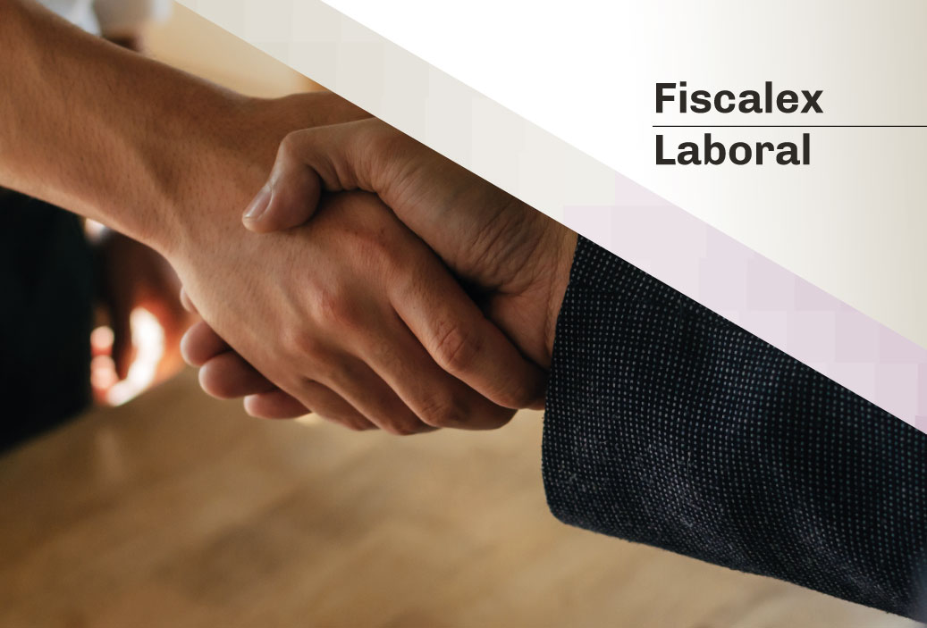 fiscalex3