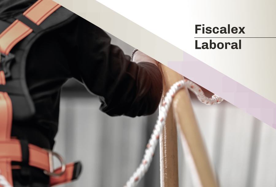 fiscalx-numero-3