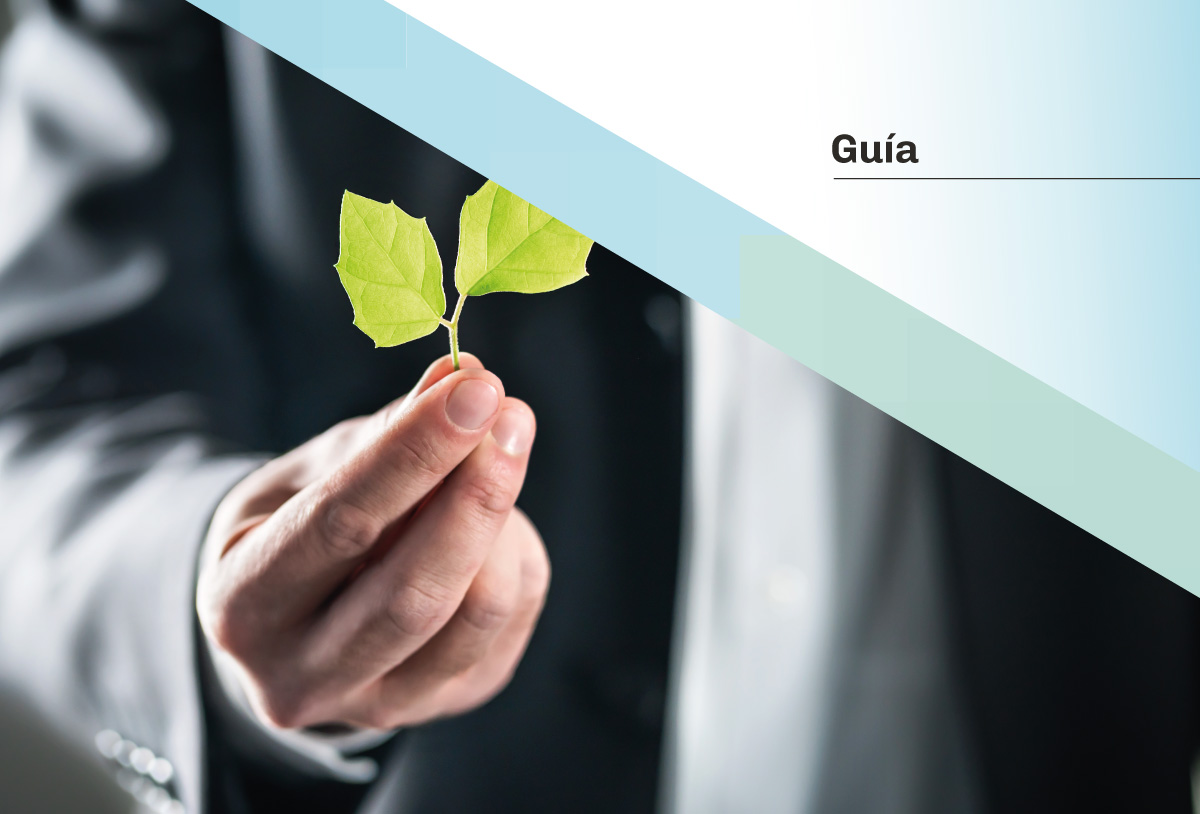 guia-1-destacada