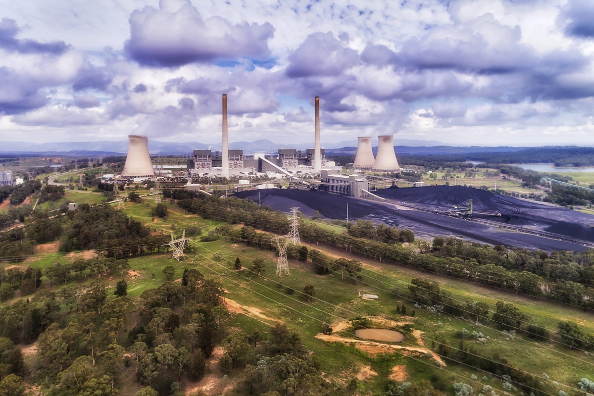 D Bayswater plant close clouds