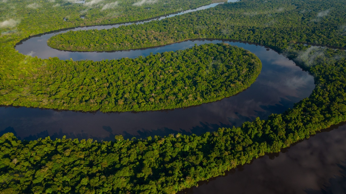 DRONE PHOTOS OF THE NANAY RIVER AND ITS SURROUNDINGS