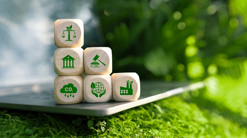 Environment Law concept. Wooden block with environmental law icons. Concept of international law environmental protection, environmental impact assessment, climate regulation, eco-friendly.