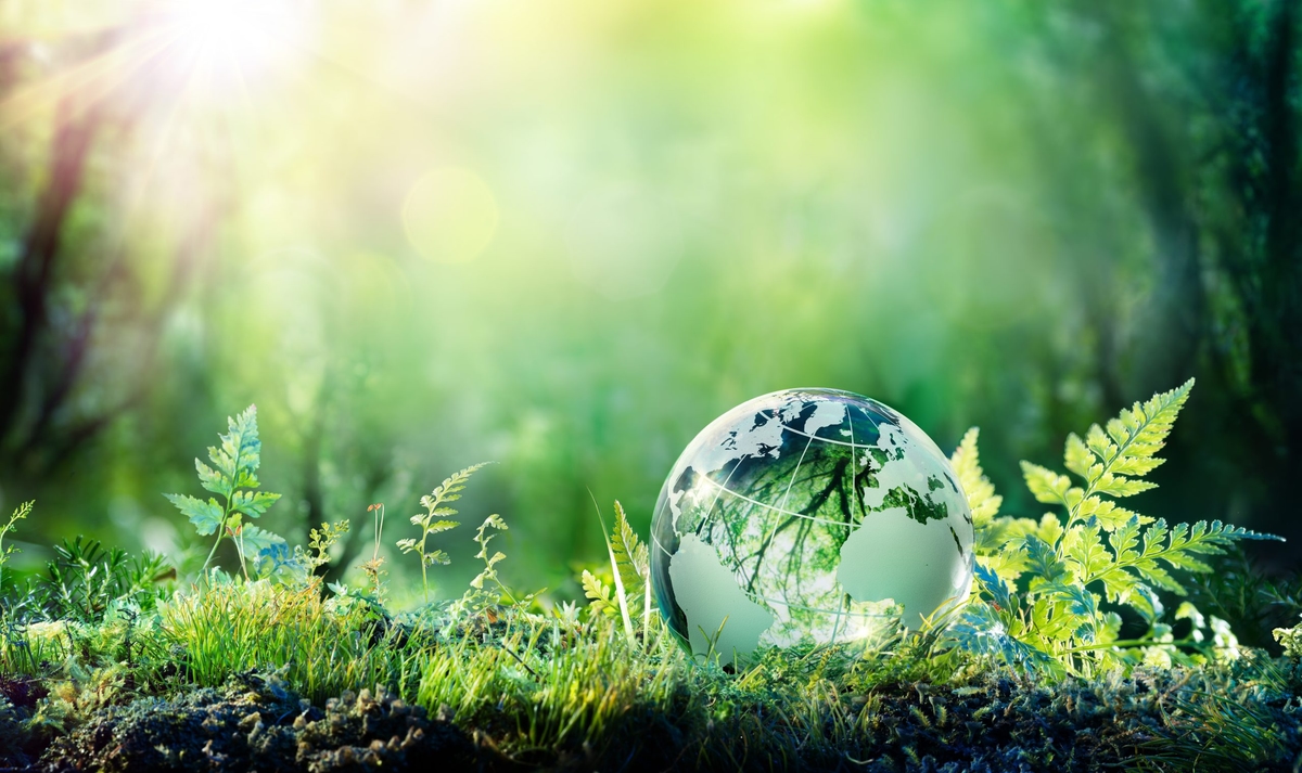Globe On Moss In Forest &#8211; Environment Concept