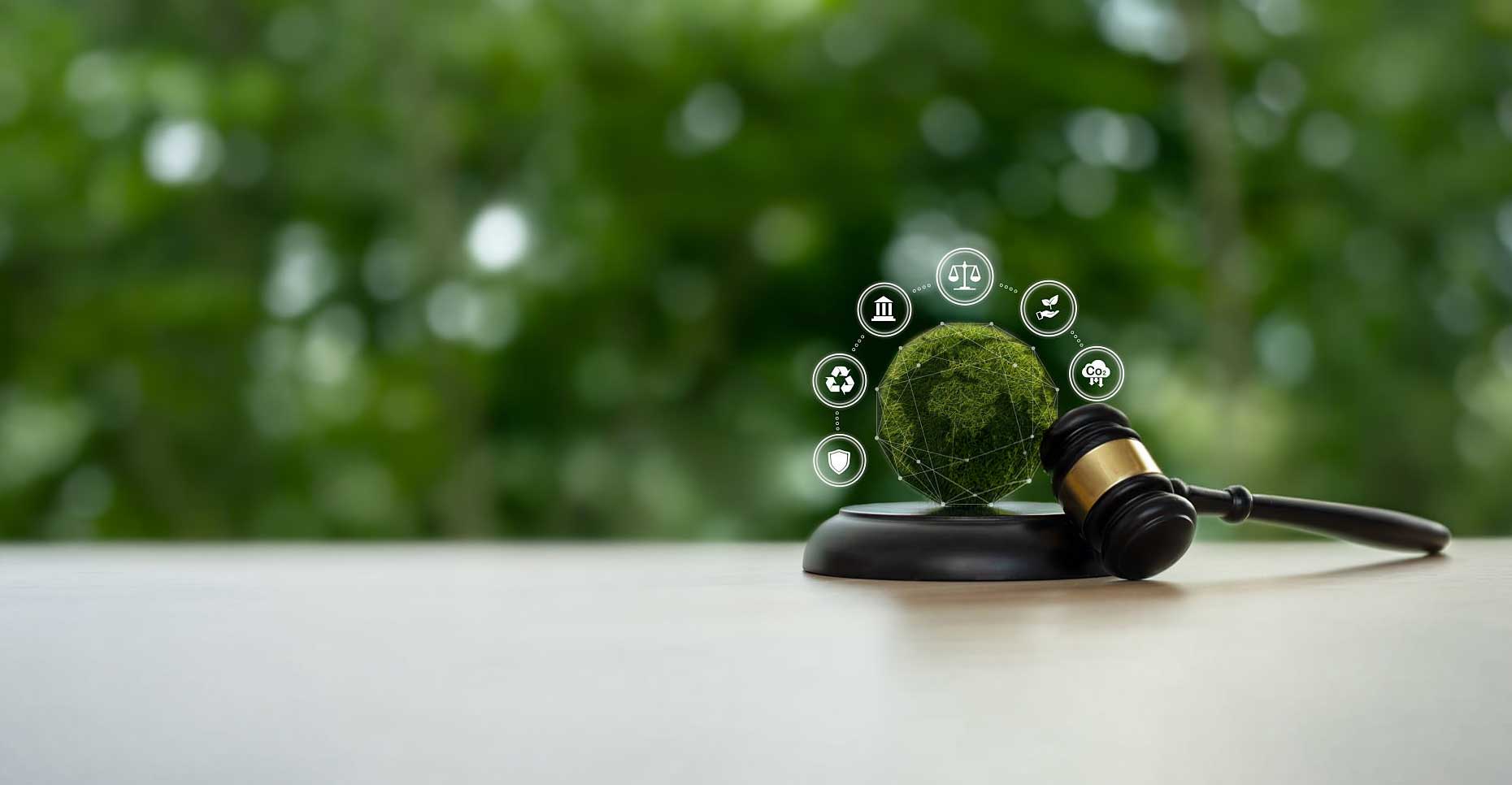 istockphoto-2254872935-1024&#215;1024