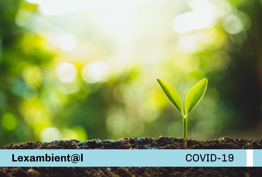 lexambiental-covid-cian