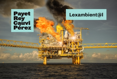 lexambiental-verde-incendio