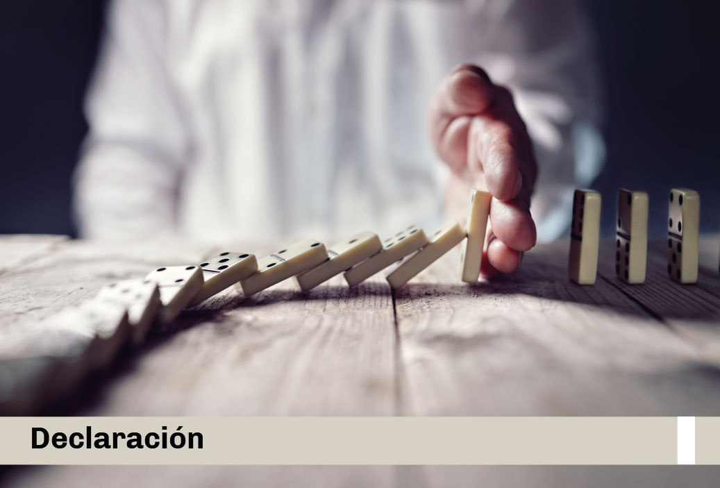 mini-declaracion-cap