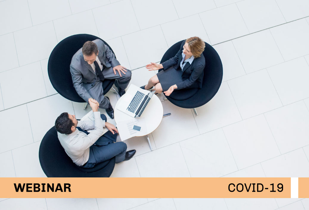 mini-webinar