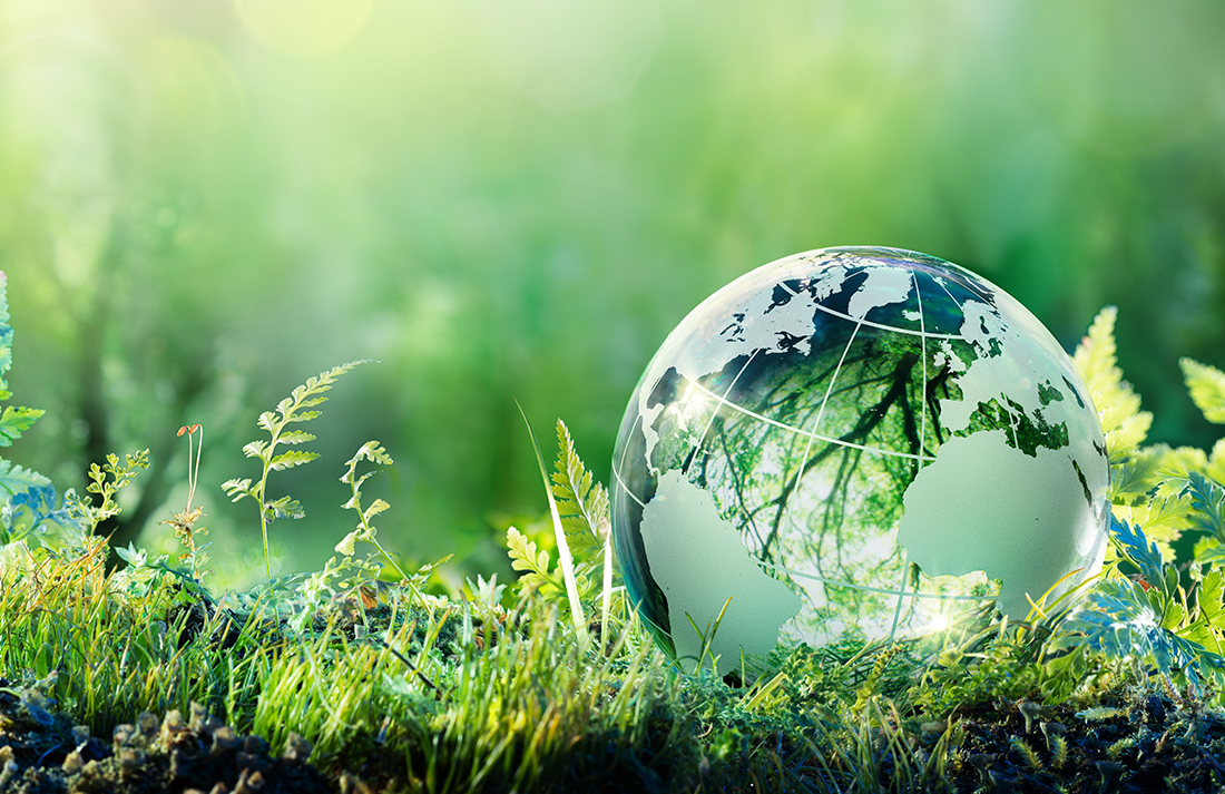 miniatura-ambiental-2