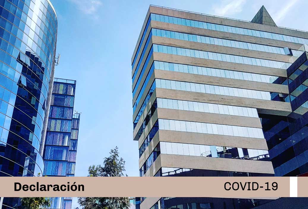 miniatura-covid19-web
