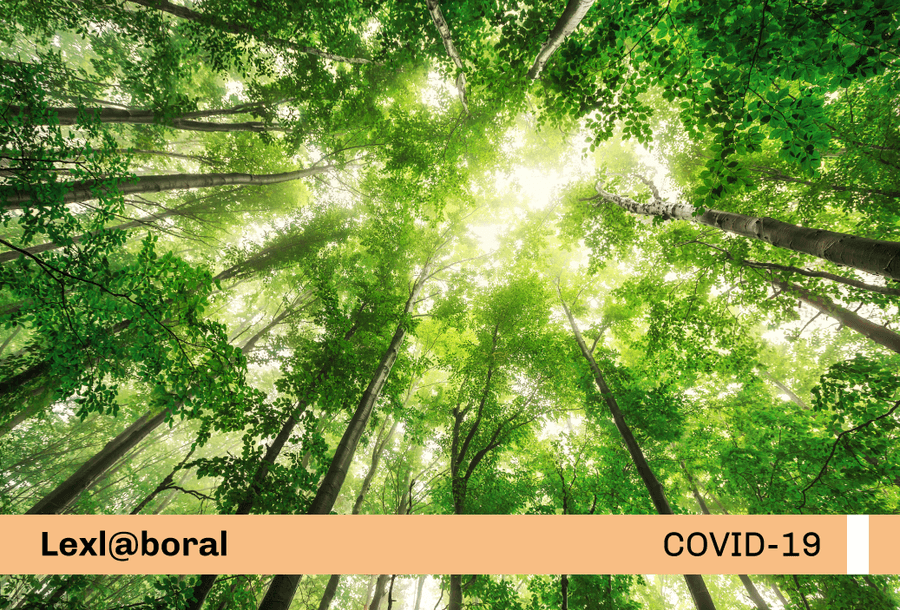 miniatura-covid19-web